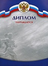 Купить Диплом Д-6