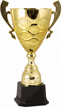 Купить Кубок 2010