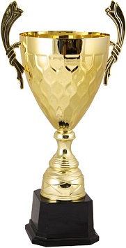 Купить Кубок 2012