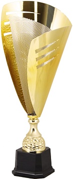 Купить Кубок 2002-N