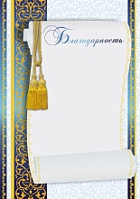 Купить Благодарность БЛ-3